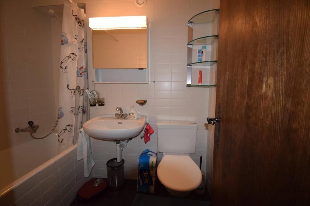Studio Central Et Chaleureux 1 Zermatt Dış mekan fotoğraf