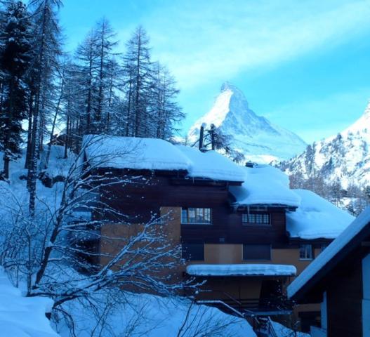 Studio Central Et Chaleureux 1 Zermatt Dış mekan fotoğraf